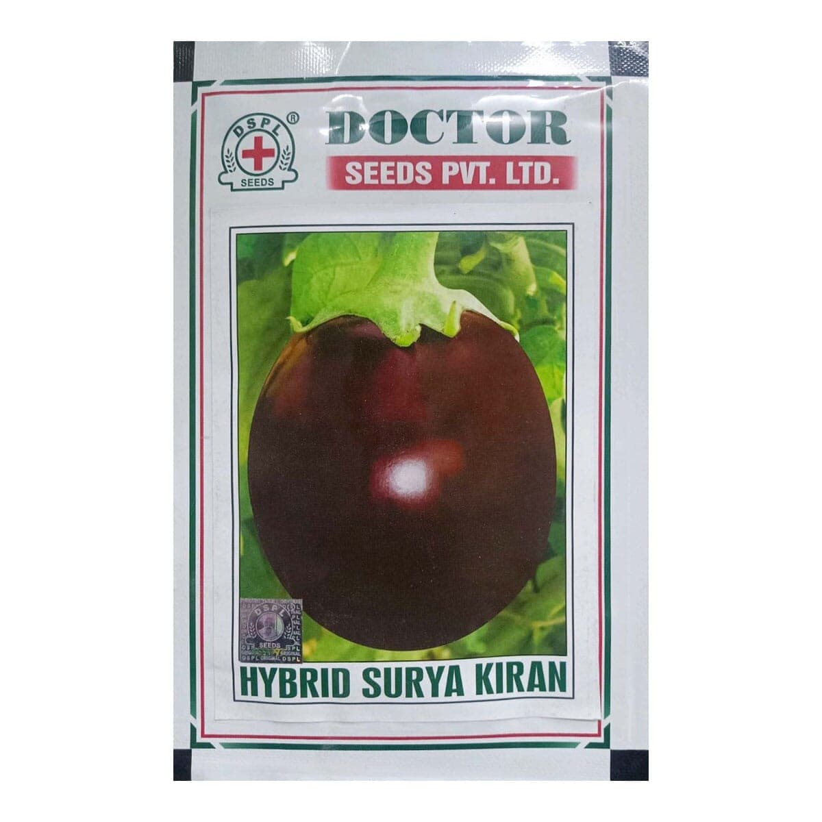 Surya Kiran Hybrid Round Brinjal Seeds 10 gm Bhanta Ko Biu
