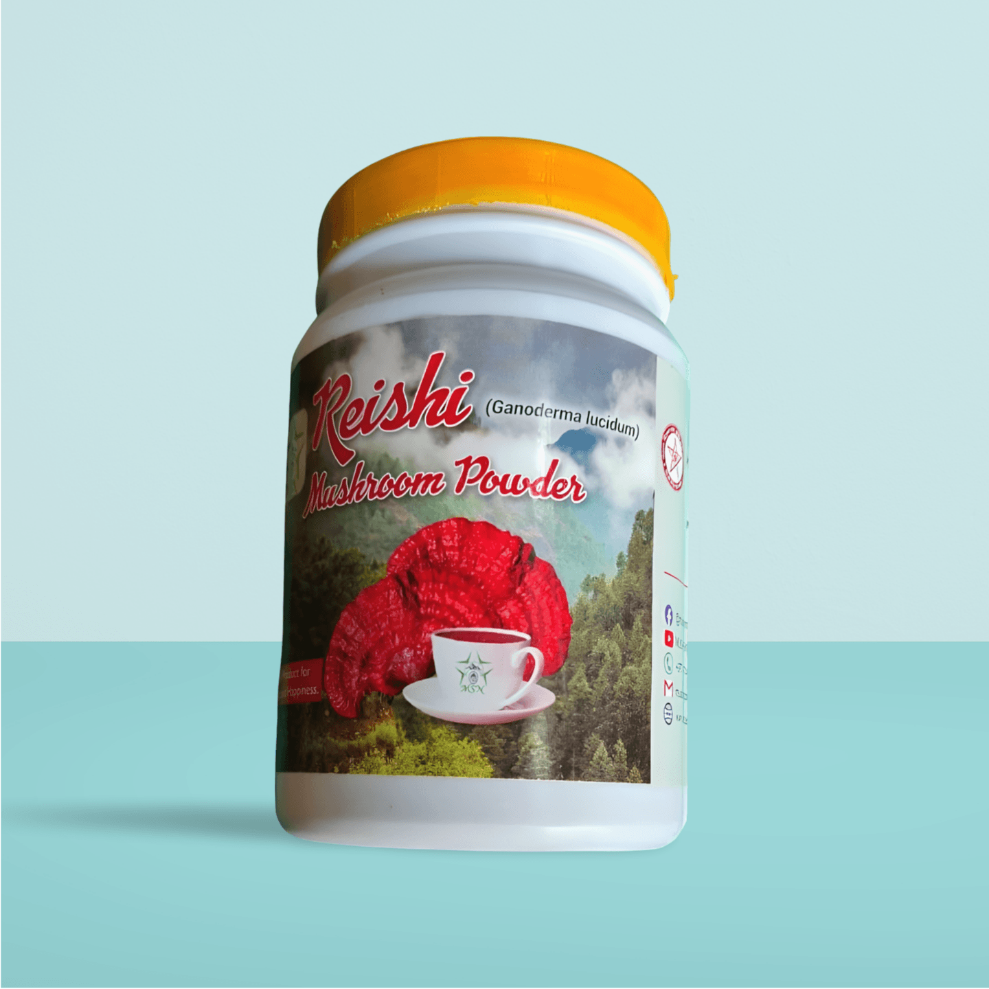 Ganoderma (Reishi) Mushroom Dried Powder - 60 gm