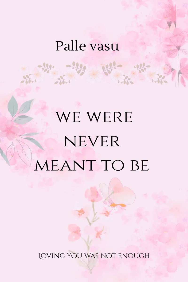 We Were Never Meant To Be: Loving You Was Not Enough By Palle Vasu