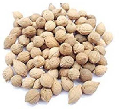 Putrajivak Seed - 100Gm