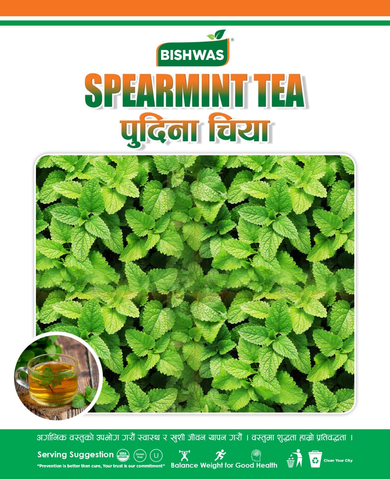 Spearmint Tea - 25gm